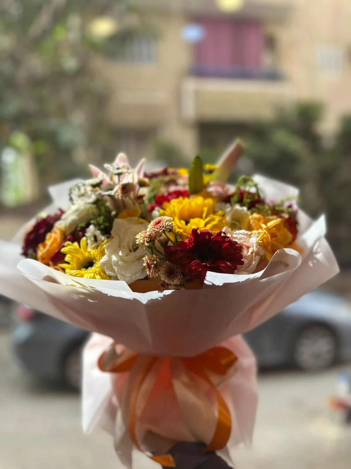 باقة ألوان الغروب